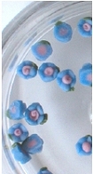 Kwiatki ceramiczne 3mm. - niebieskie - 20szt.